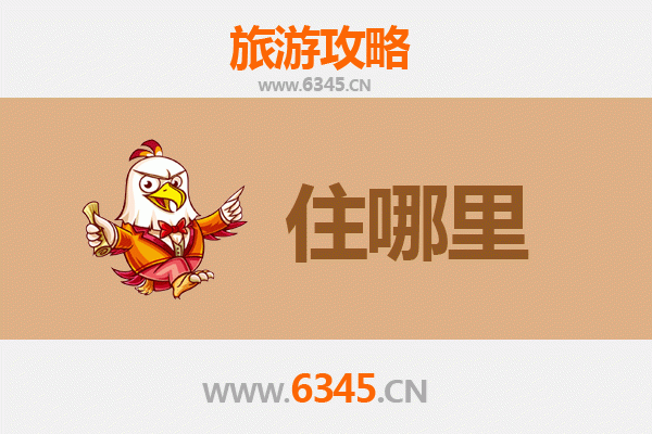 石家庄辛集旅游民宿全攻略：沉浸式体验皮革之都的慢生活